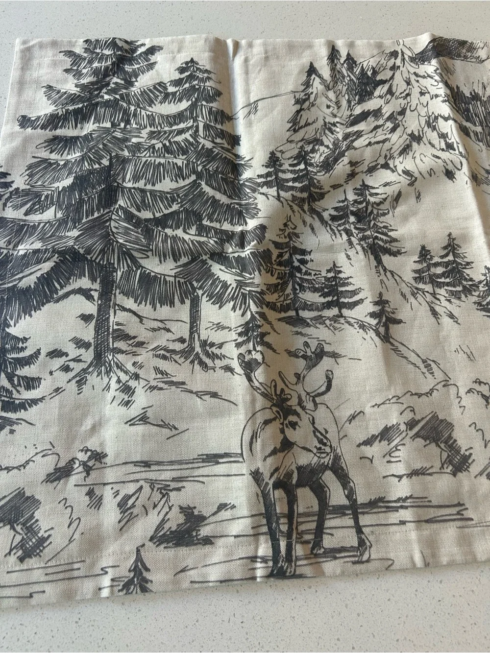Pottery Barn Rustic Forest King Pillowcase 1 NWOT